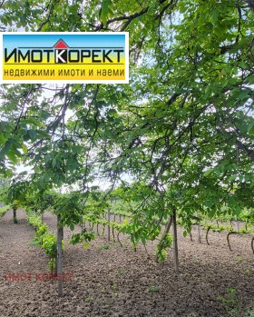 ������� ������ | Imot.bg � ����� ������ 6