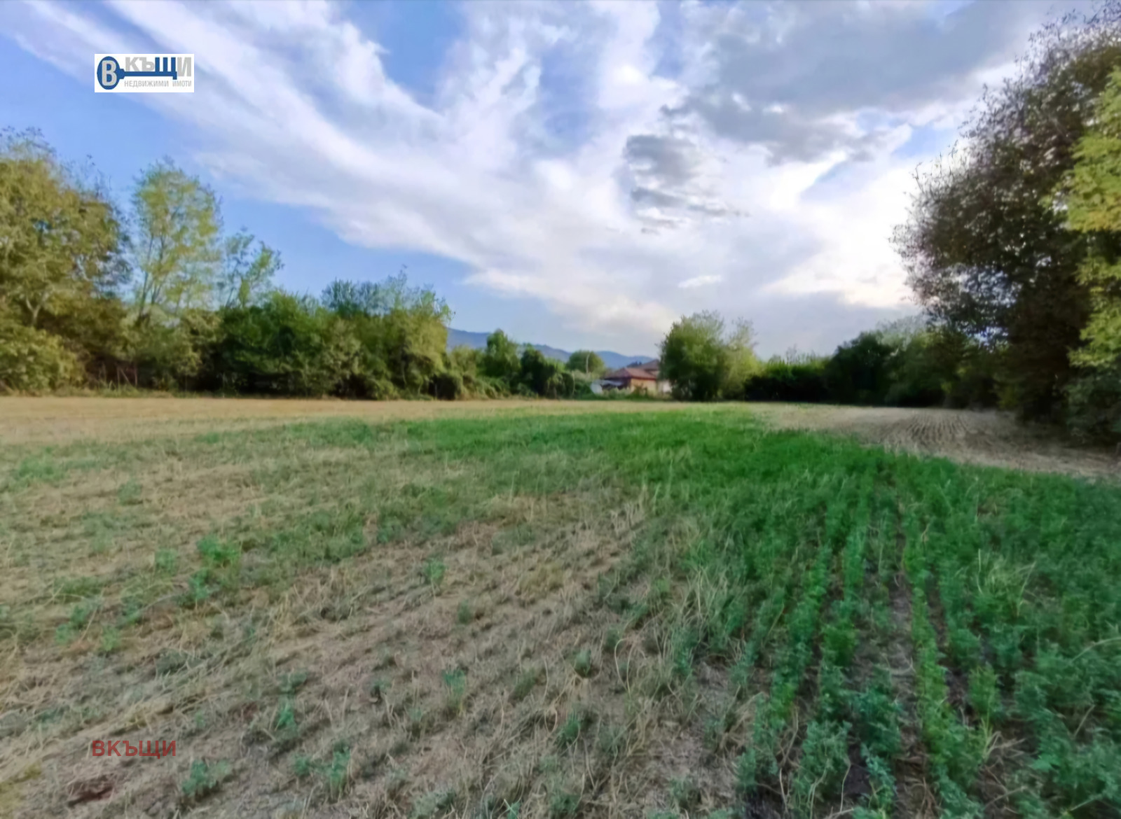 Продава ПАРЦЕЛ, с. Къпиново, област Велико Търново, снимка 2 - Парцели - 49855956