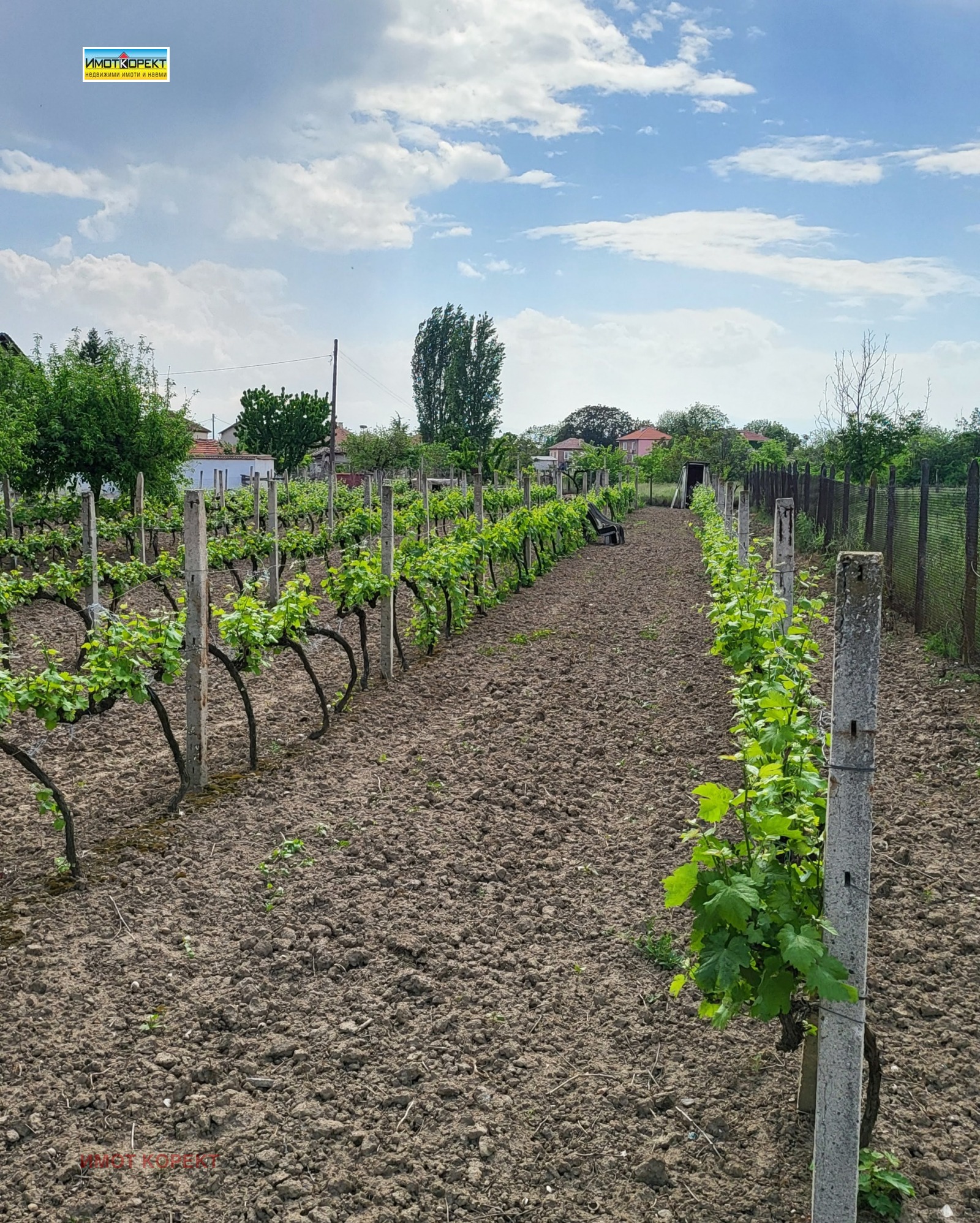 Продава ПАРЦЕЛ, с. Черногорово, област Пазарджик, снимка 4 - Парцели - 54509310