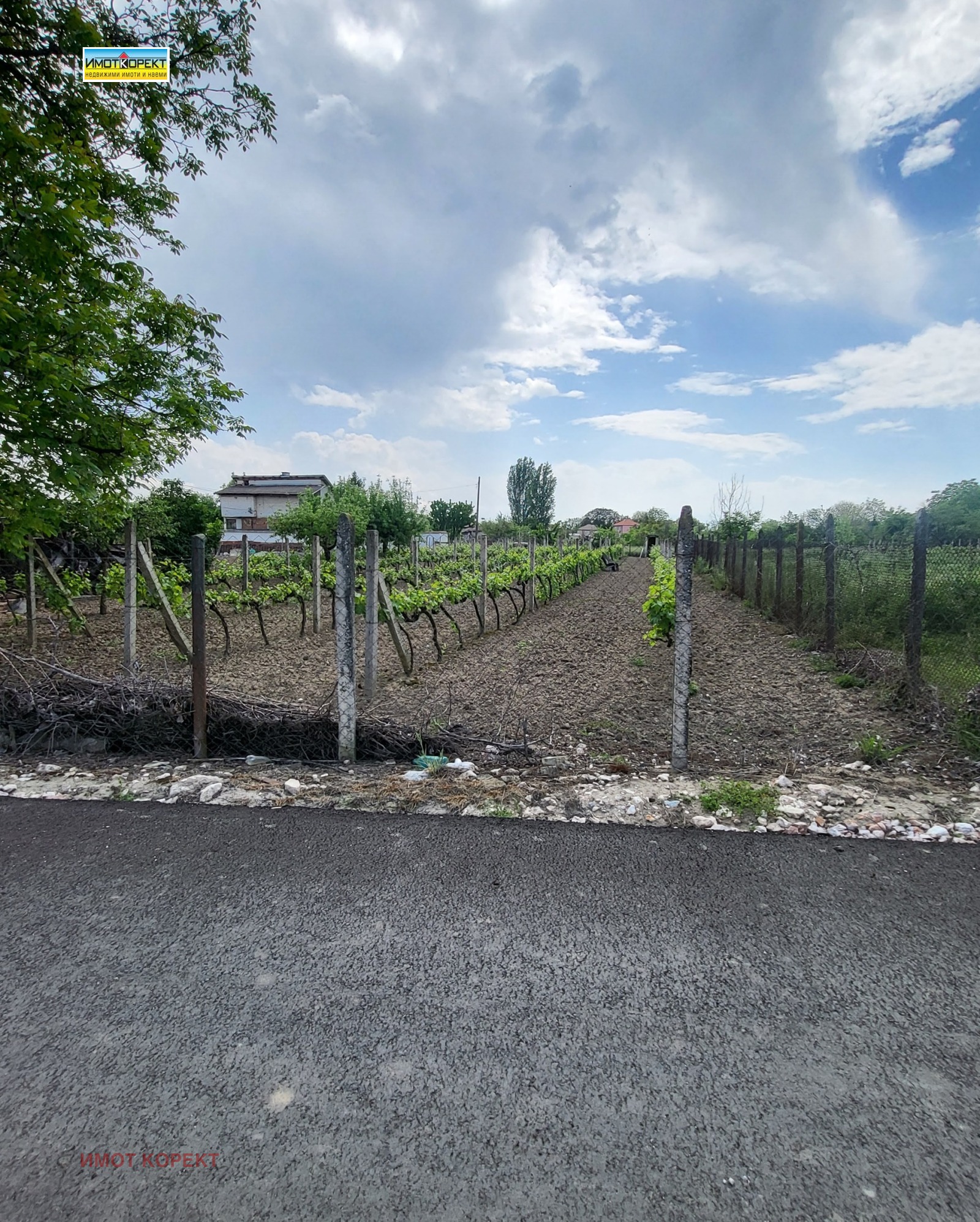 Продава ПАРЦЕЛ, с. Черногорово, област Пазарджик, снимка 2 - Парцели - 54509310