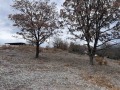 Продава ПАРЦЕЛ, яз. Пчелина, област Перник, снимка 2