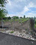 Продава ПАРЦЕЛ, с. Черногорово, област Пазарджик, снимка 3