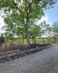 Продава ПАРЦЕЛ, с. Черногорово, област Пазарджик, снимка 7