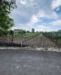 Продава ПАРЦЕЛ, с. Черногорово, област Пазарджик, снимка 2