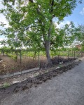 Продава ПАРЦЕЛ, с. Черногорово, област Пазарджик, снимка 1