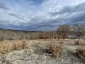 Продава  Парцел област Перник , яз. Пчелина , 1000 кв.м | 81841177 - изображение [6]