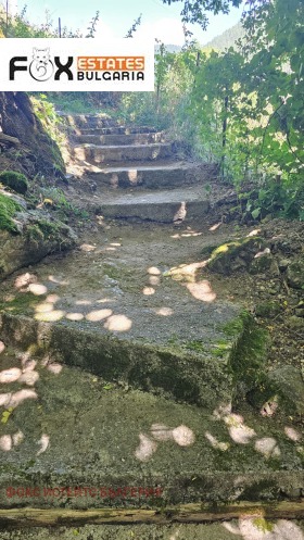 Hus Sokolovtsi, region Smolyan 7