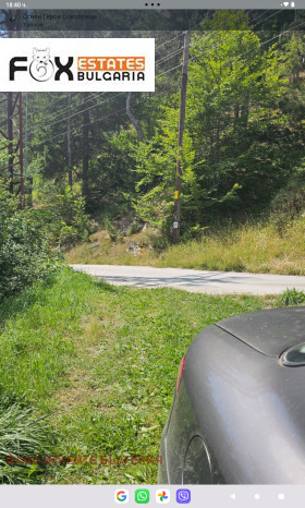 Hus Sokolovtsi, region Smolyan 4