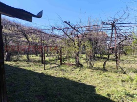 ������� ������ | Imot.bg � ����� ������ 8