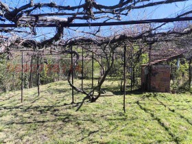 ������� ������ | Imot.bg � ����� ������ 7