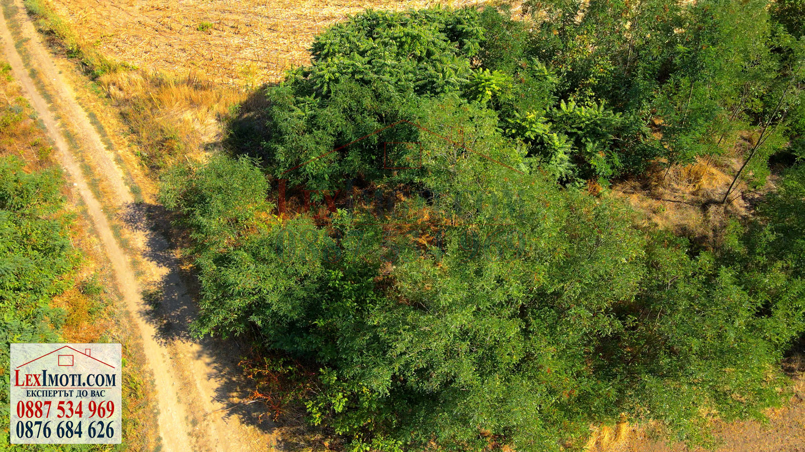 Продава ПАРЦЕЛ | Imot.bg — изображение 3