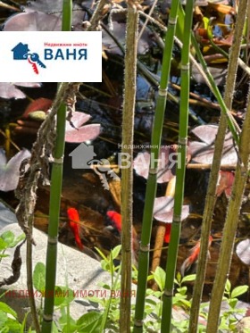 ������� ���� | Imot.bg � ����� ������ 13