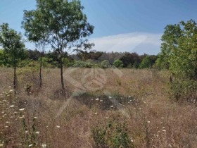 Cselekmény Promislena zona - Sever, Burgas