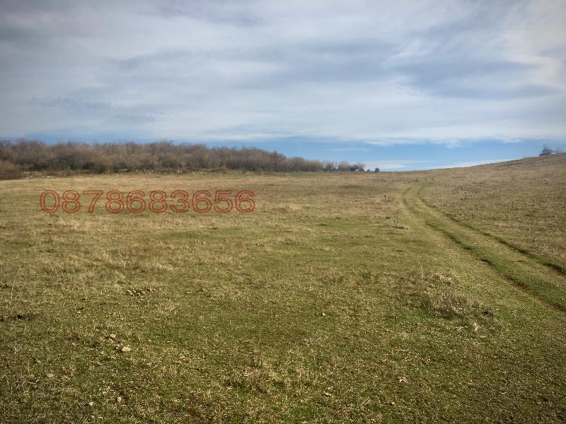 Продава ПАРЦЕЛ, с. Згориград, област Враца, снимка 5 - Парцели - 53838510