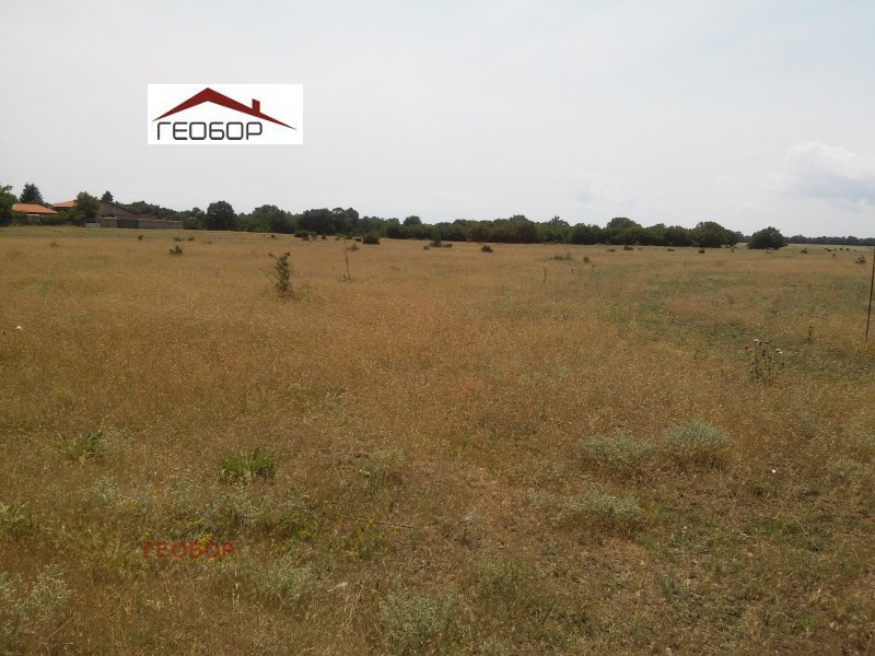 For Sale  Plot region Varna , Dobrogled , 3000 sq.m | 72546370 - image [2]