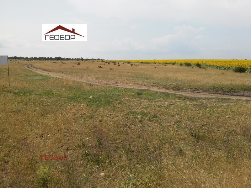 Te koop  Verhaallijn regio Varna , Dobrogled , 3000 m² | 72546370 - afbeelding [3]