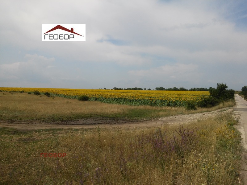 For Sale  Plot region Varna , Dobrogled , 3000 sq.m | 72546370