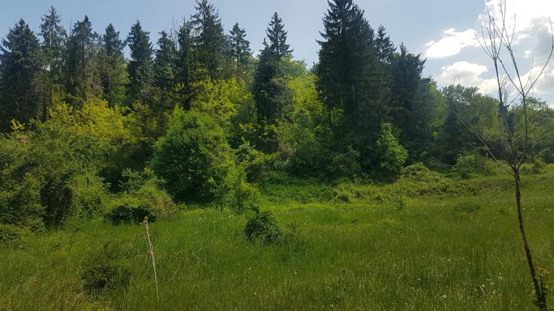 Продава ПРОМ. ПОМЕЩЕНИЕ | Imot.bg — изображение 13