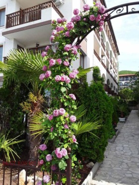 ������� 1-����� | Imot.bg � ����� ������ 16