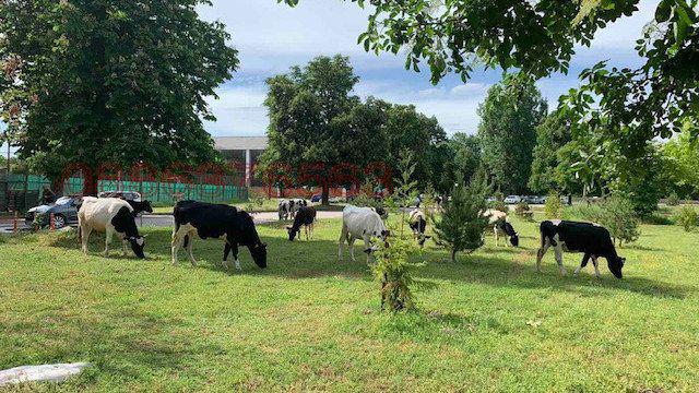 ������� ����. ��������� | Imot.bg � ����������� 2