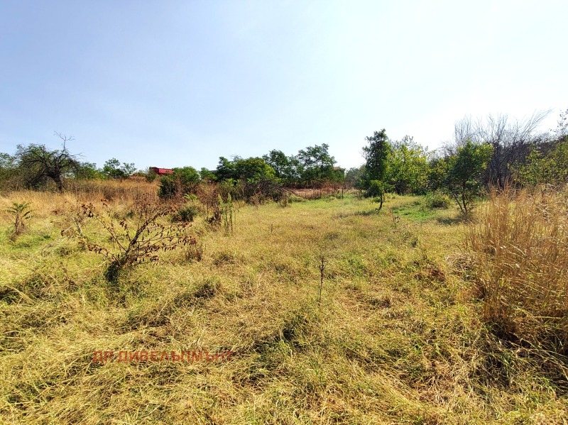 Продава КЪЩА, с. Каменна река, област Хасково, снимка 7 - Къщи - 52746009