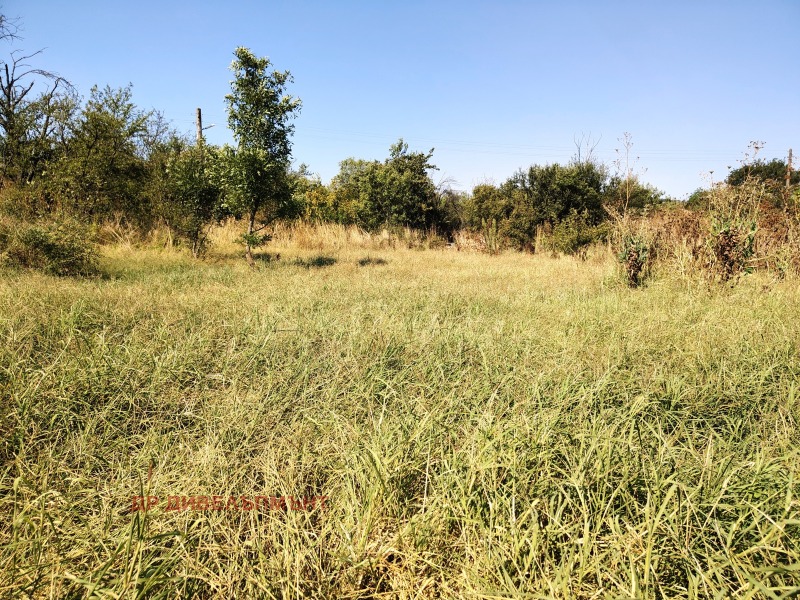 Продава КЪЩА, с. Каменна река, област Хасково, снимка 8 - Къщи - 52746009