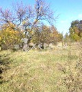 Продава ПАРЦЕЛ, област Варна, с. Манастир • 15990 € • 29882287 — Holmes.bg