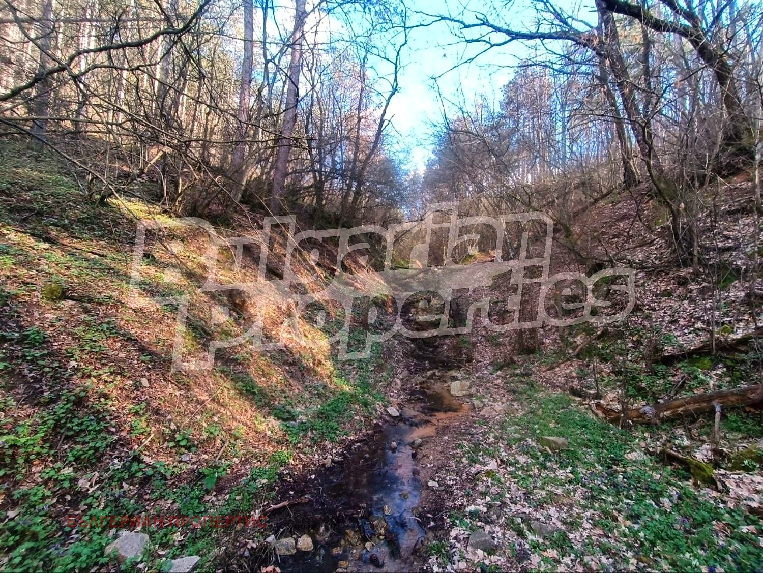 ������� ������ | Imot.bg � ����������� 8