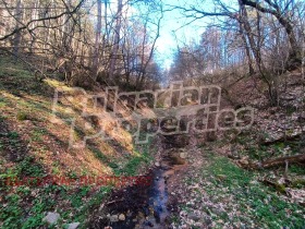 ������� ������ | Imot.bg � ����� ������ 8