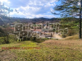 ����� ������� ������,�. ������, ������ �������