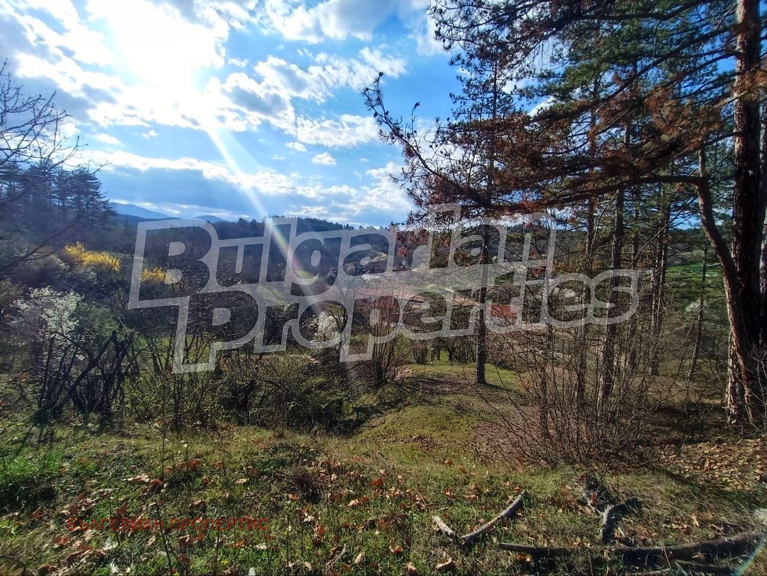 Продава ПАРЦЕЛ, с. Богдан, област Пловдив, снимка 6 - Парцели - 54261319