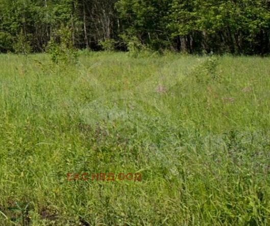 For Sale  Plot region Plovdiv , Krumovo , 5496 sq.m | 63534466