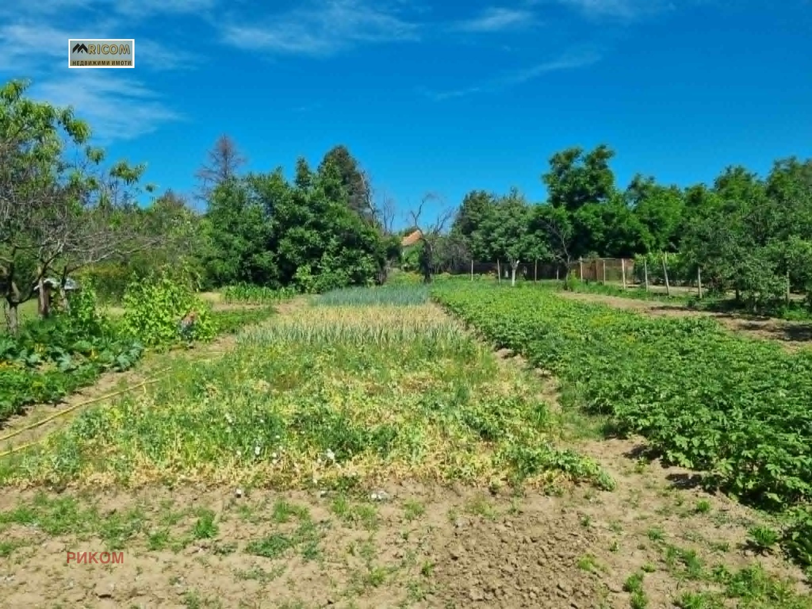 Продава КЪЩА, с. Коиловци, област Плевен, снимка 2 - Къщи - 54928479