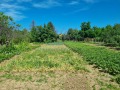 Продава КЪЩА, с. Коиловци, област Плевен, снимка 2
