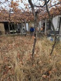 Продава  Къща област Пловдив , с. Ръжево Конаре , 64 кв.м | 65451523 - изображение [3]