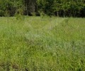Продава ПАРЦЕЛ, област Пловдив, с. Крумово • 85400 € • 66904771 — Holmes.bg