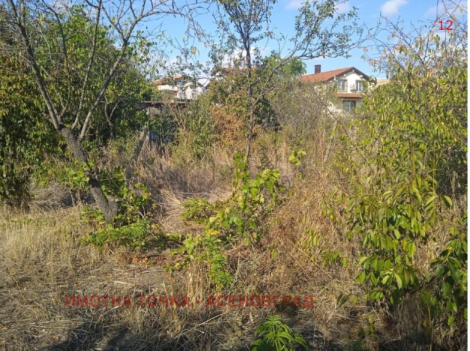 ������� ���� | Imot.bg � ����������� 12