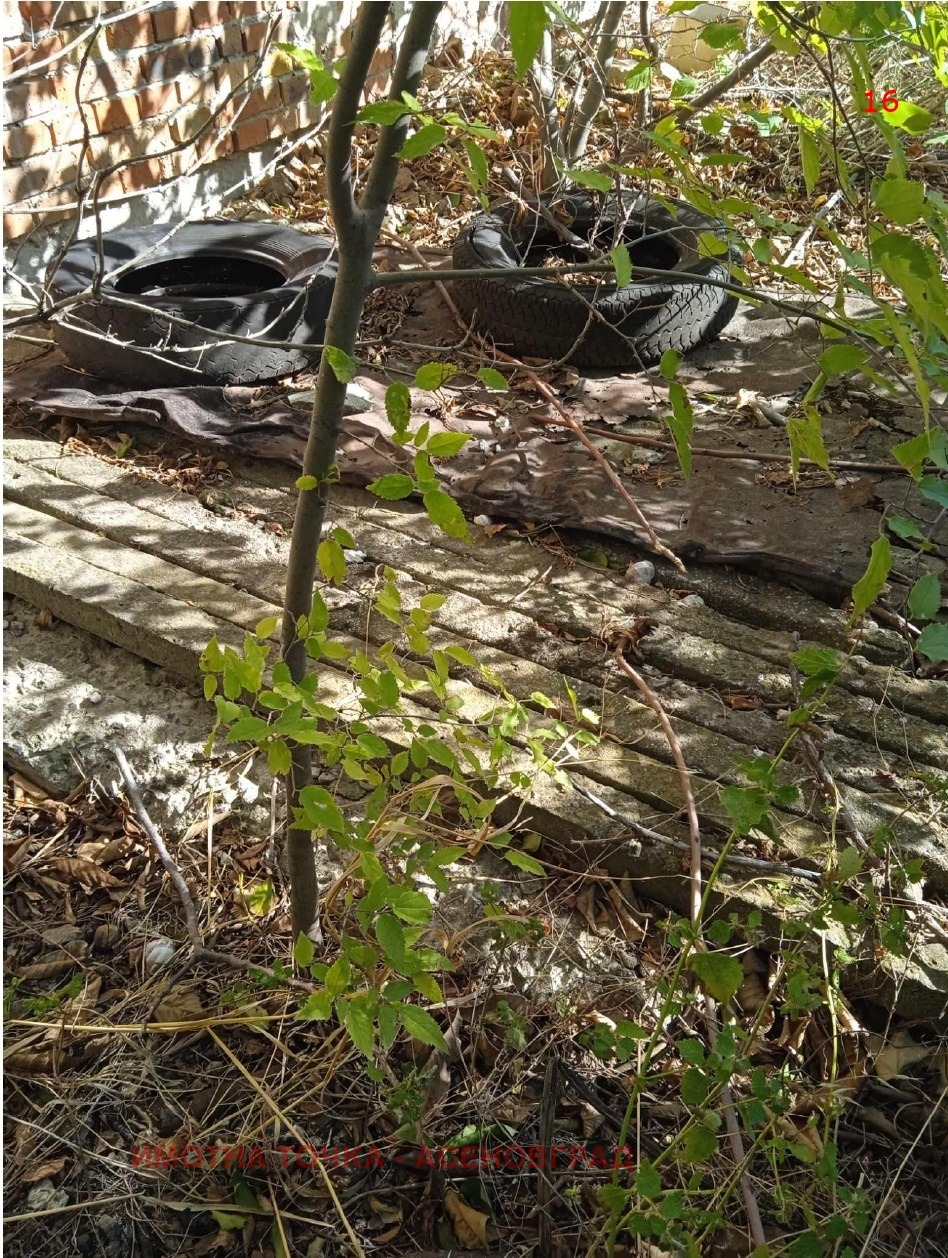 ������� ���� | Imot.bg � ����������� 16