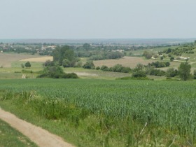 ����� ������� ����,�. ������� ������, ������ ������