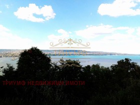 Продаја Плот