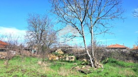 ������� ������ | Imot.bg � ����� ������ 8