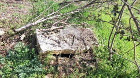 ������� ������ | Imot.bg � ����� ������ 9