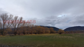 ����� ������� ������,���� �����, �. �����