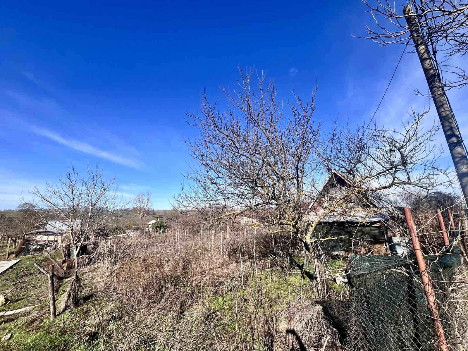 Продава ПАРЦЕЛ, с. Бранище, област Добрич, снимка 3 - Парцели - 53607553