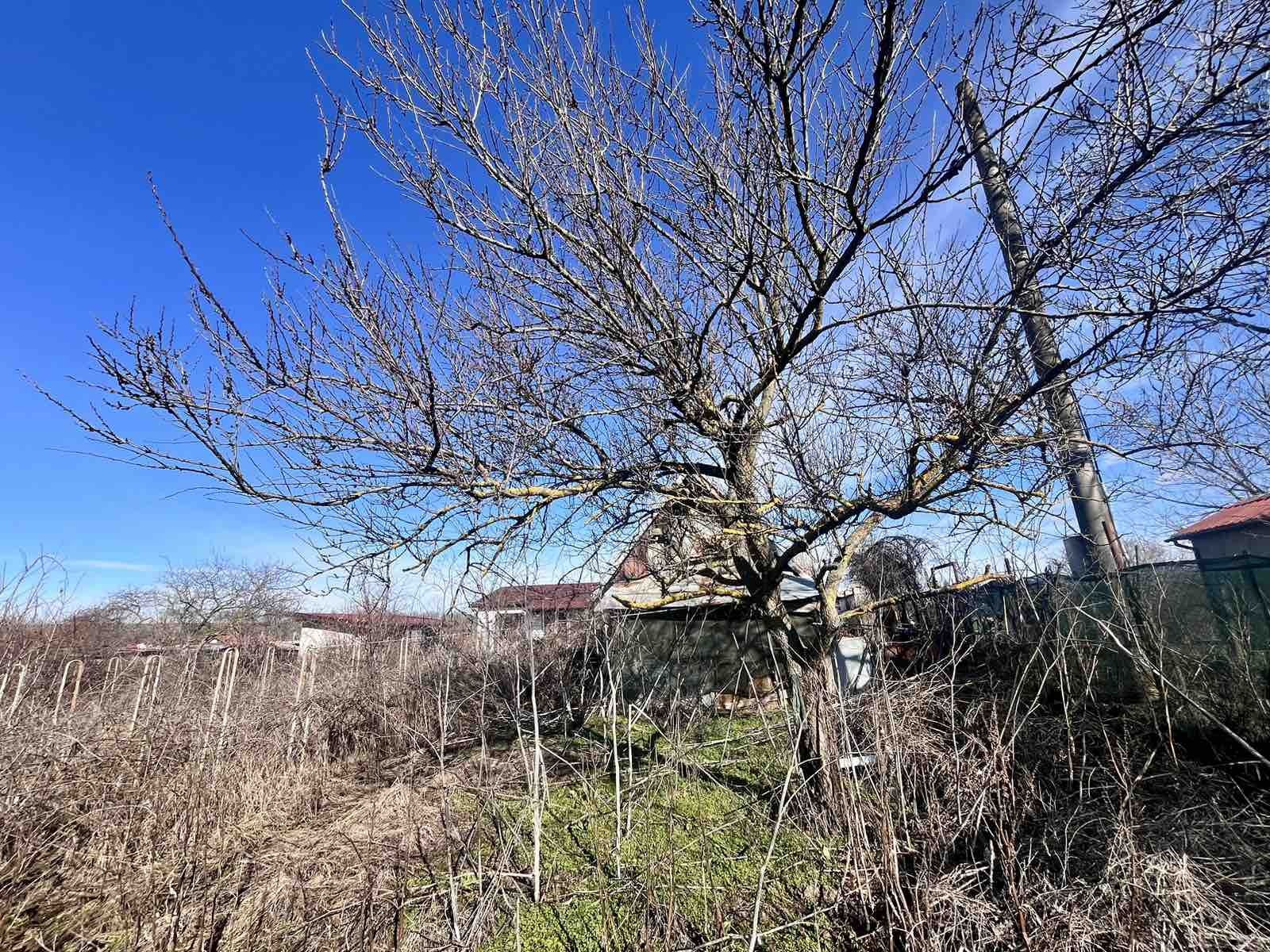 Продава ПАРЦЕЛ, с. Бранище, област Добрич, снимка 5 - Парцели - 53607553