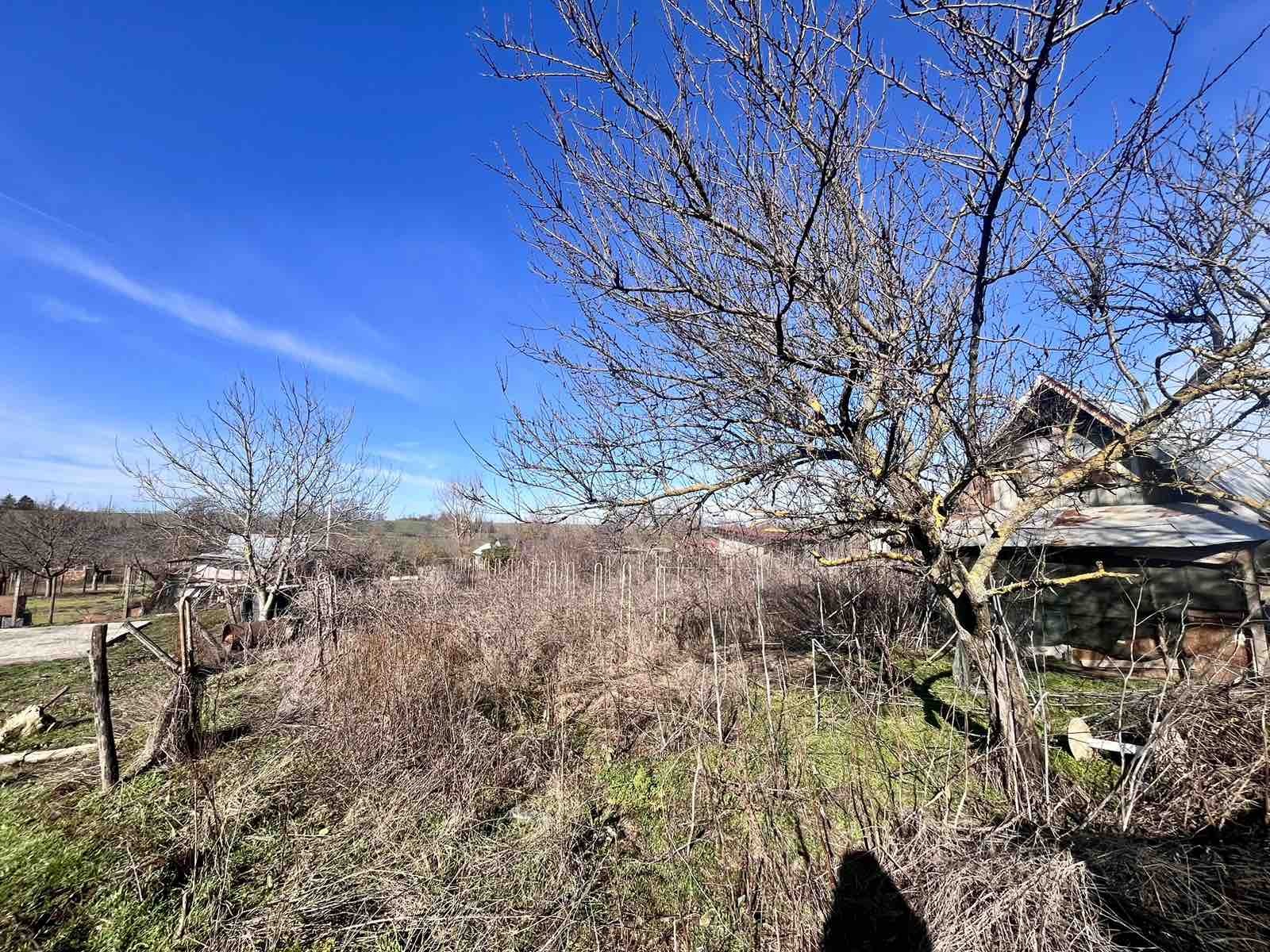 Продава ПАРЦЕЛ, с. Бранище, област Добрич, снимка 4 - Парцели - 53607553