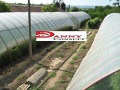 Продава ПАРЦЕЛ, с. Поликраище, област Велико Търново, снимка 2