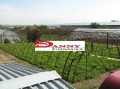 Продава ПАРЦЕЛ, област Велико Търново, с. Поликраище • 187000 лв. • 70066570 — Holmes.bg