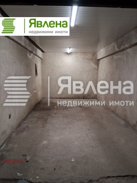 ����� ������� �����,���� �����, �������