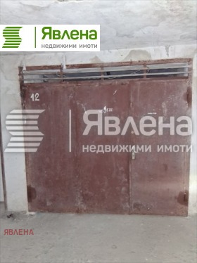 ����� ������� �����,���� �����, �������